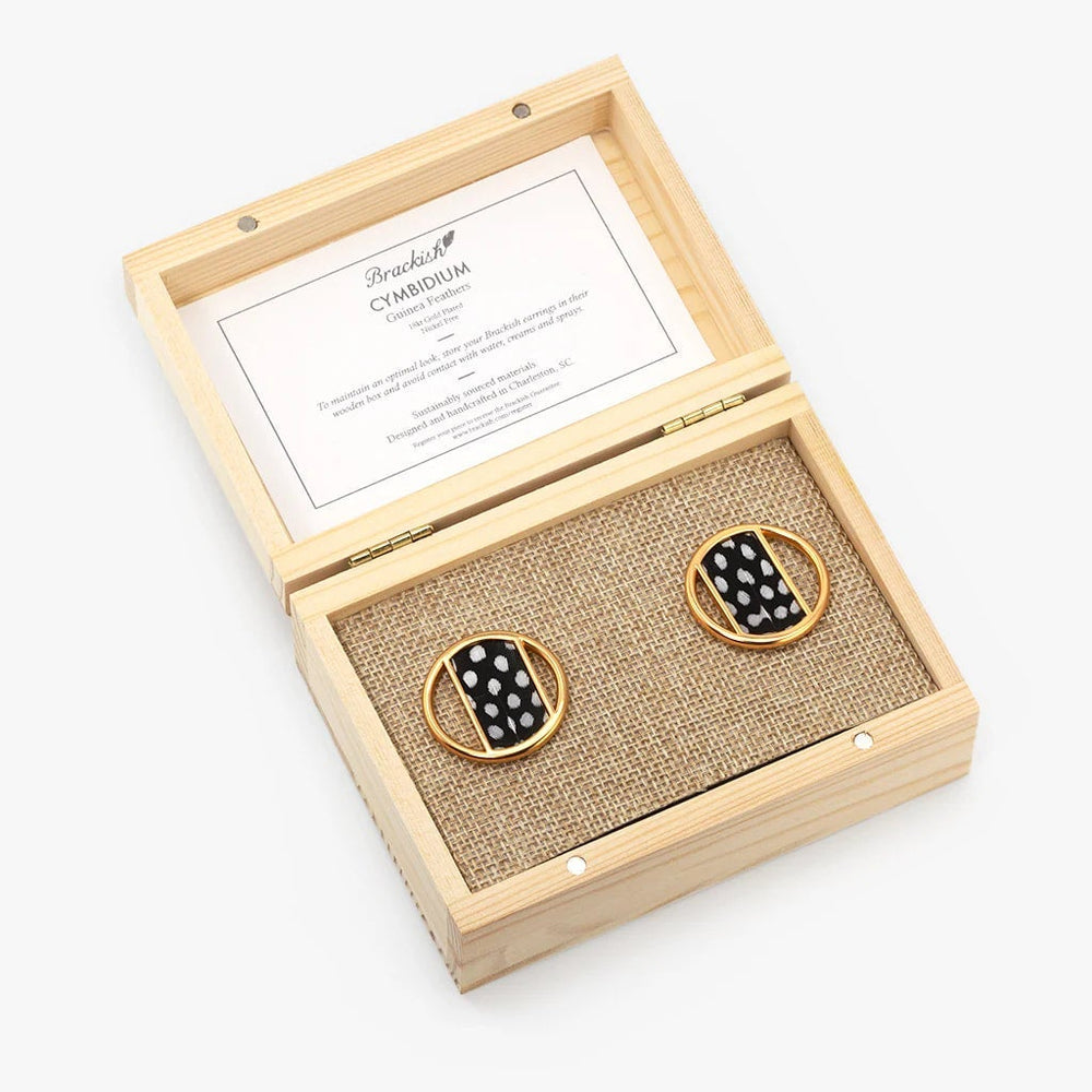 Cymbidium Guinea earring - Moxiebainbridge
