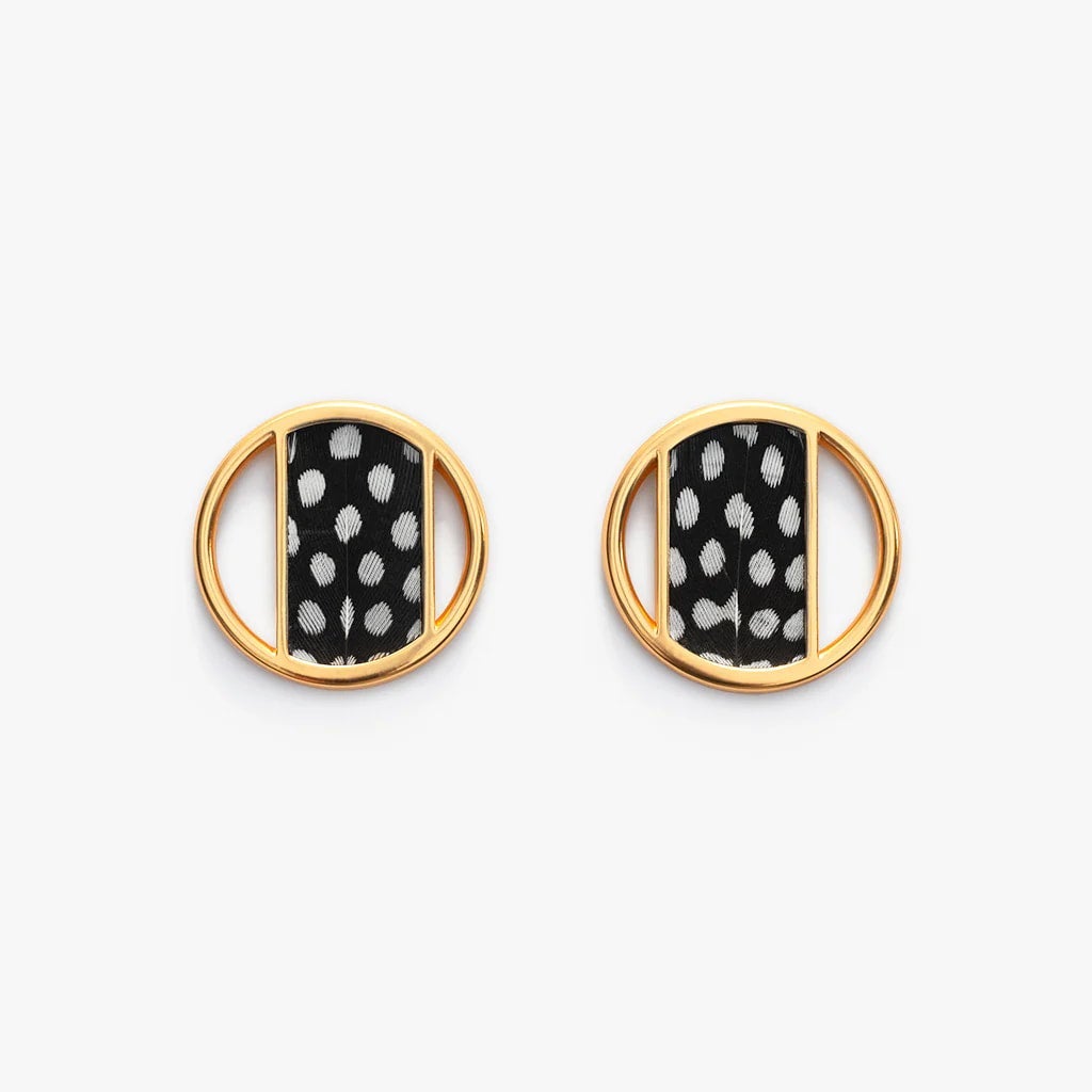 Cymbidium Guinea earring - Moxiebainbridge