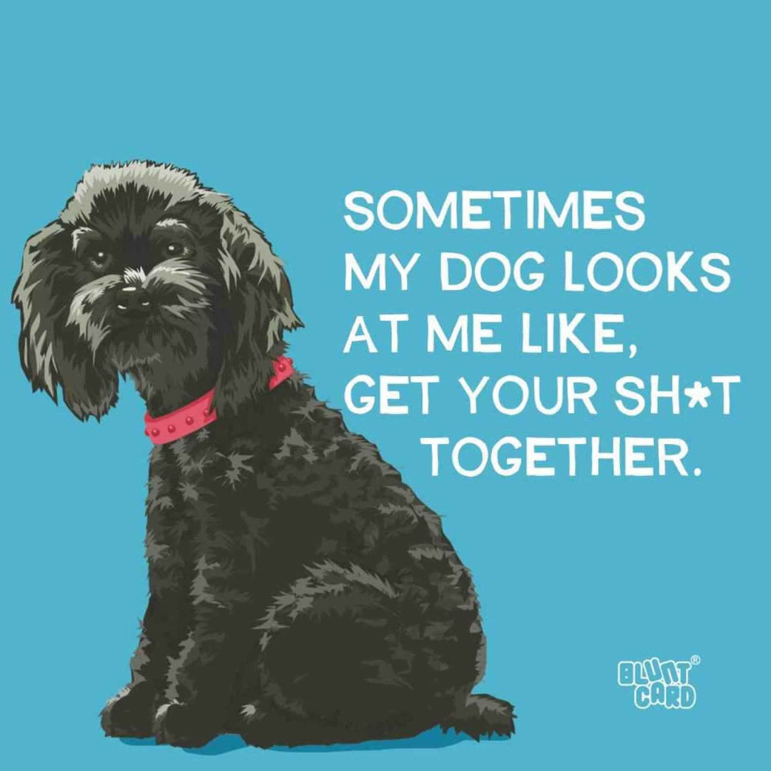 Sometimes My Dog Looks At Me Like Get Your Sh*t Together - Moxiebainbridge