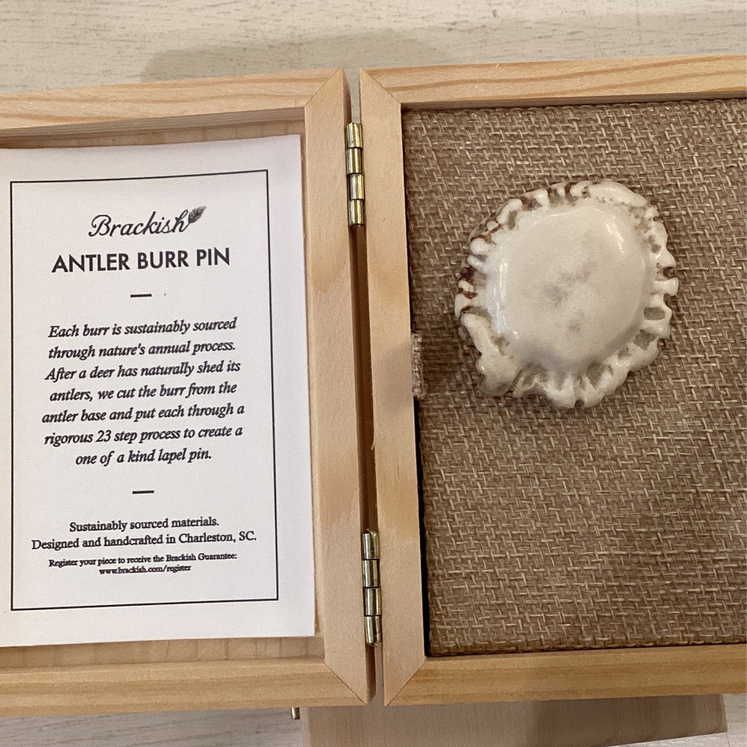 Antler Burr Pin By Brackish - Moxiebainbridge