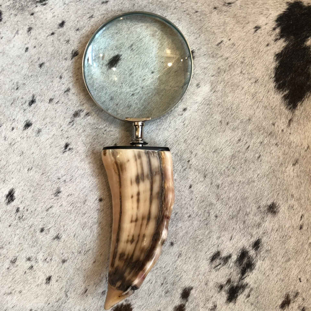Horn Magnifier By A Sanoma Inc