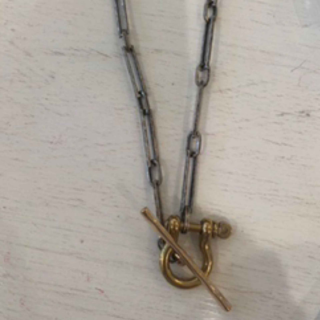 Horse Shoe Link Necklace By V2